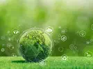环境系统与社会 (IB Environmental Systems and Societies, ESS）