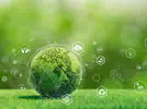 环境系统与社会 (IB Environmental Systems and Societies, ESS）