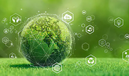 环境系统与社会 (IB Environmental Systems and Societies, ESS）