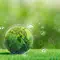 环境系统与社会 (IB Environmental Systems and Societies, ESS）