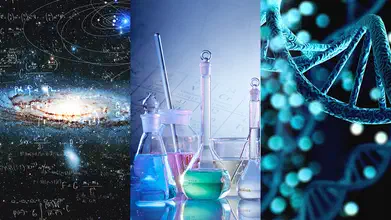 自然科学：物理、化学与生物