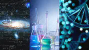 自然科学：物理、化学与生物
